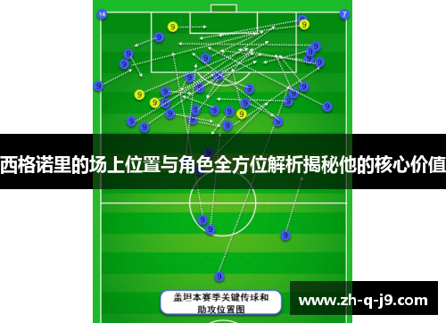 西格诺里的场上位置与角色全方位解析揭秘他的核心价值