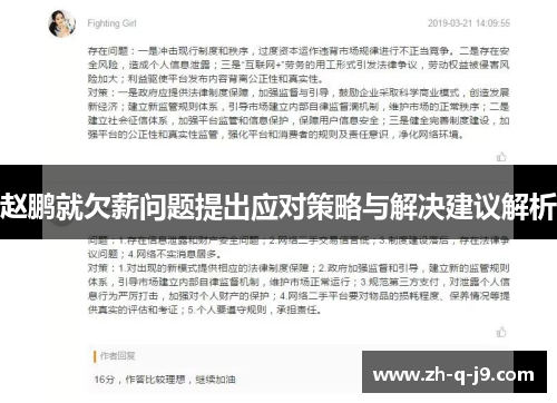 赵鹏就欠薪问题提出应对策略与解决建议解析