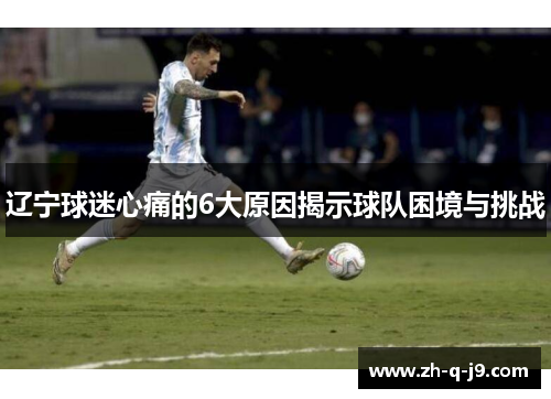 辽宁球迷心痛的6大原因揭示球队困境与挑战